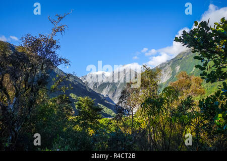 Franz Josef Gletscher und Regenwald Landschaft, Neuseeland Stockfoto