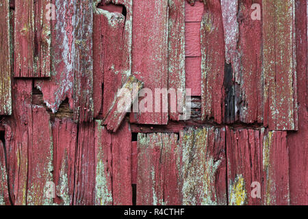 Close up rot Holz Streifen als Hintergrund Stockfoto