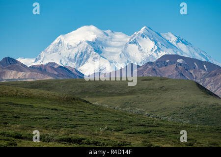 Denali National Park mit dem Berg in voller Sicht auf einem blauen Himmel klar Sommertag. Stockfoto