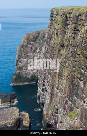 350 ft Klippen von torridonian Sandstein auf Handa Island, Schottland Stockfoto