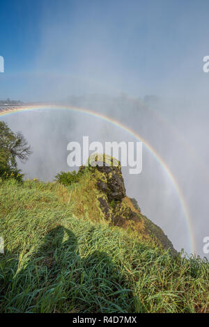 Doppelter Regenbogen in Spray über Victoria Falls Stockfoto