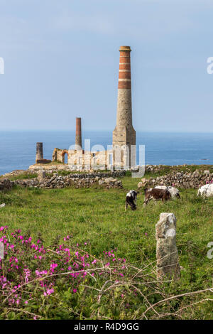 Bleibt der Motor Haus Schornsteine an geevor Tin Mine, Pendeen, Cornwall, England, Großbritannien, Europa Stockfoto