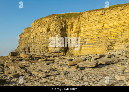 Die Kalkfelsen an der Dunraven Bay Southerndown Vale von Glamorgan Stockfoto