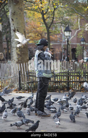 "Taube Menschen' ein Freund aller Tauben oft in Washington Square Park inb Manhattan, New York City. Stockfoto