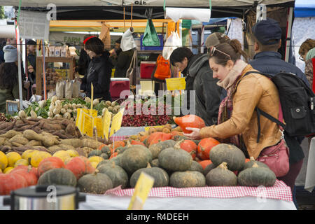 Frau Geschäfte für Squash auf einen Herbst Tag am Union Square Farmers Market in Manhattan, New York City. Stockfoto