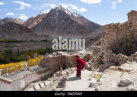 Junger buddhistischer Mönch in Chemrey Gompa, Ladakh, Jammu und Kaschmir, Indien Stockfoto