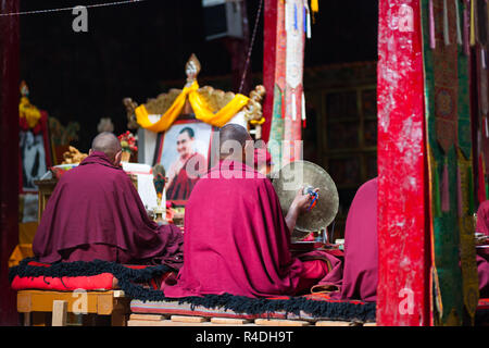 Buddhistische Mönche während der Puja in Chemrey Gompa, Ladakh, Jammu und Kaschmir, Indien Stockfoto