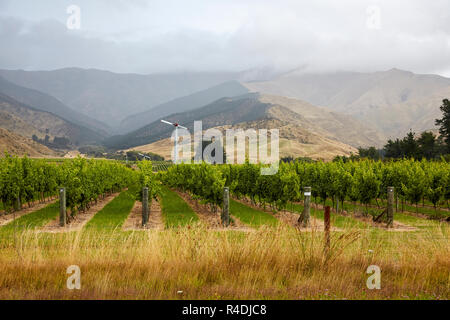 Waiarau Fluss Weinberg, Weingut, Rapaura, Neuseeland, Südinsel Stockfoto