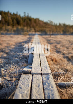 Causeway in der Mitte von gefrorenem Sumpf in Finnland Stockfoto