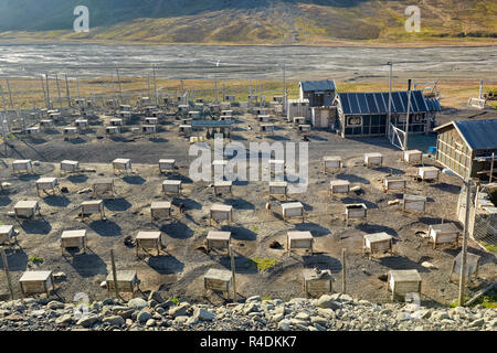 Husky Dog Camp in der Nähe von Longyearbyen auf Spitzbergen Spitzbergen, Norwegen Stockfoto