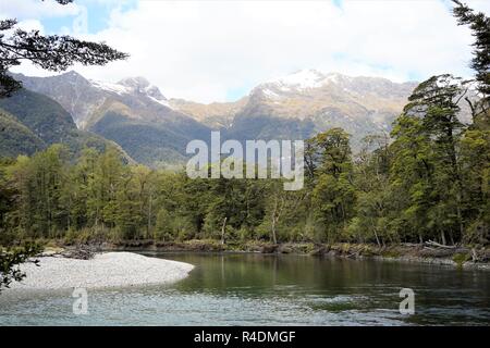 Umgeben von Bäumen, Berge im Hintergrund. Milford Track, Neuseeland Südinsel Stockfoto