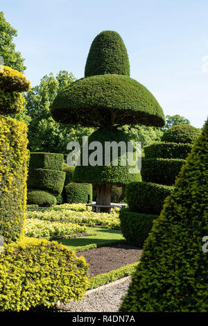 Formgehölze in Levens Hall & Gardens, Cumbria, englischen Lake District, Großbritannien Stockfoto