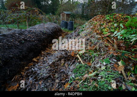 Vor und nach dem Kompost, Gartenabfälle auf der rechten Seite vor der Kompostierung und dem Haufen auf der linken Seite nach der Kompostierung Stockfoto