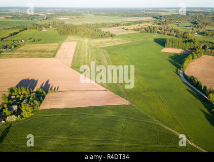 Drone Foto von der Straße zwischen den Bäumen in bunten Frühling in ländlich Dorf - mit Löwenzahn Feld umgeben Stockfoto