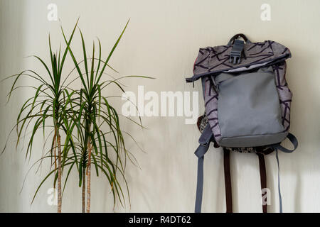 Lila Schule Rucksack an der Wand hängen - isoliertes Objekt mit weißem Hintergrund mit grünen Pflanze Neben es Stockfoto