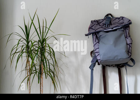 Lila Schule Rucksack an der Wand hängen - isoliertes Objekt mit weißem Hintergrund mit grünen Pflanze Neben es Stockfoto