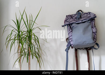 Lila Schule Rucksack an der Wand hängen - isoliertes Objekt mit weißem Hintergrund mit grünen Pflanze Neben es Stockfoto