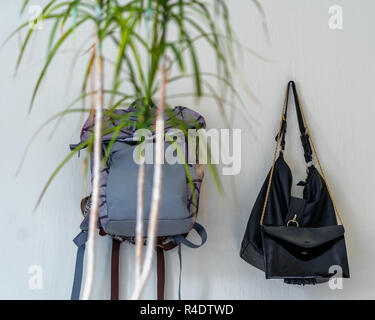Lila Schule Rucksack an der Wand hängen - isoliertes Objekt mit weißem Hintergrund mit grünen Pflanze vor Es Stockfoto
