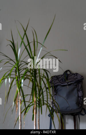 Lila Schule Rucksack an der Wand hängen - isoliertes Objekt mit weißem Hintergrund mit grünen Pflanze Neben es Stockfoto