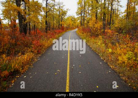 Herbstradweg im Park umgeben von wunderschönen roten und gelben Bäumen. Stockfoto