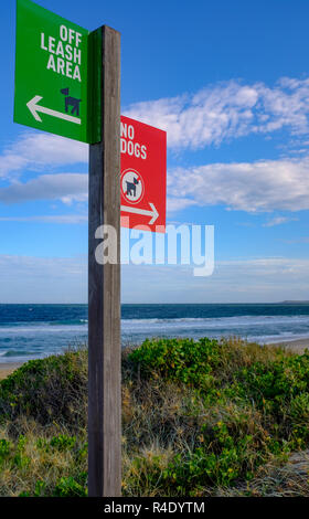 Hund ohne Leine Freizeit Strand, Rot" keine Hunde" und grünen Bereichen ohne Leine am Strand, NSW Australien Stockfoto