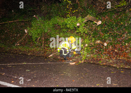 Crosshaven, Cork, Irland. 27. Nov 2018. Feuerwehr Personal Werk auf dem Weg nach einem Baum öffnen fiel und blockierten die Straße nach starkem Regen und starkem Wind auf Drakes Pool draußen Crosshaven, Co.Cork. Quelle: David Creedon/Alamy leben Nachrichten Stockfoto