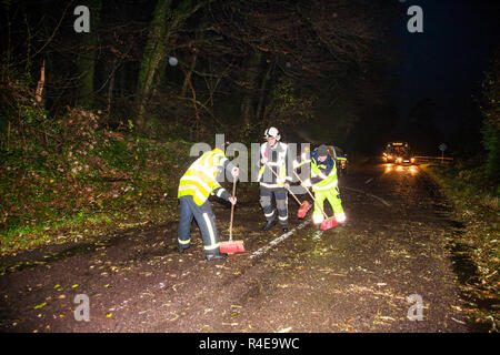 Crosshaven, Cork, Irland. 27. Nov 2018. Feuerwehr Personal Werk auf dem Weg nach einem Baum öffnen fiel und blockierten die Straße nach starkem Regen und starkem Wind auf Drakes Pool draußen Crosshaven, Co.Cork. Quelle: David Creedon/Alamy leben Nachrichten Stockfoto