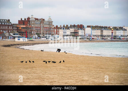 Dorchester, Dorset. 27. November 2018. Eine Frau Spaziergänge entlang der einsamen Strand im Regen Credit: stuart Hartmut Ost/Alamy leben Nachrichten Stockfoto