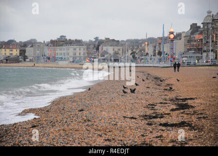 Dorchester, Dorset. 27. November 2018. Ein paar Gehminuten am Strand entlang in den Regen Credit: stuart Hartmut Ost/Alamy leben Nachrichten Stockfoto