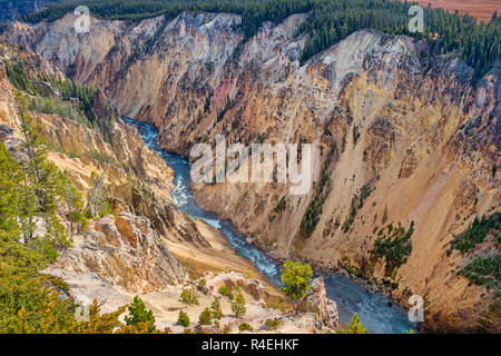 Grand Canyon des Yellowstone River Wyoming USA Stockfoto