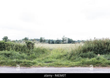Blick über einen Feldweg zu den Feldern jenseits, Cotswolds, Vereinigtes Königreich Stockfoto