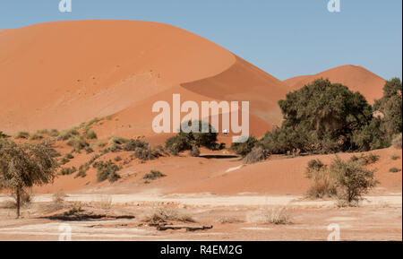 Drei Menschen wandern, eine Sanddüne in der Wüste Namib, Namibia Stockfoto