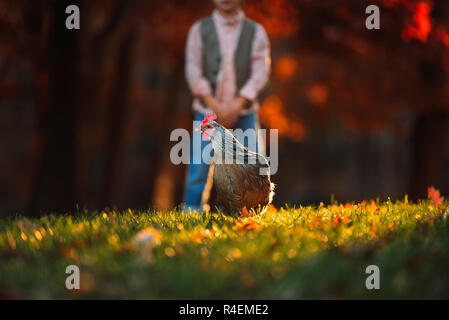 Junge in einem Garten spielt mit bei einem Huhn, United States Stockfoto