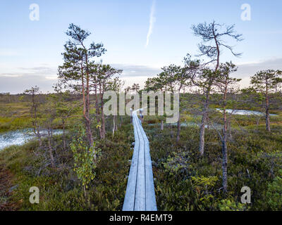 Moody Drone Foto von bunten Moorland im Frühsommer Sonnenaufgang mit einem Holz- Pfad durch it Stockfoto