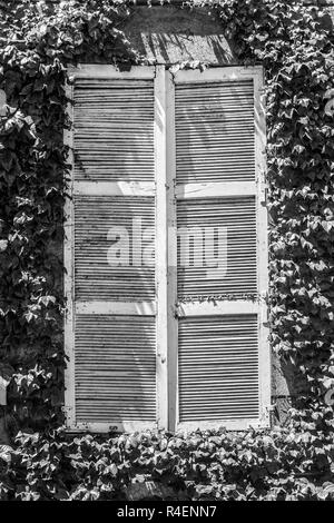Weiß Holz- Fenster durch eine tolle vegetation von Blättern umgeben, eine erstaunliche urbane Muster in den Straßen von Santiago de Chile Stockfoto