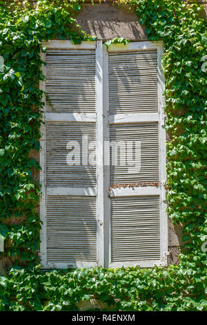 Weiß Holz- Fenster durch eine tolle vegetation von Blättern umgeben, eine erstaunliche urbane Muster in den Straßen von Santiago de Chile Stockfoto