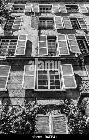 Weiß Holz- Fenster durch eine tolle vegetation von Blättern umgeben, eine erstaunliche urbane Muster in den Straßen von Santiago de Chile Stockfoto