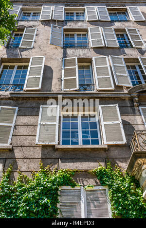 Weiß Holz- Fenster durch eine tolle vegetation von Blättern umgeben, eine erstaunliche urbane Muster in den Straßen von Santiago de Chile Stockfoto