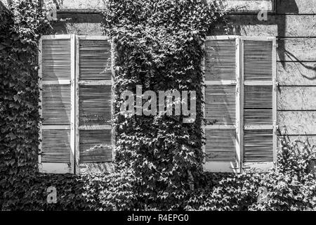 Weiß Holz- Fenster durch eine tolle vegetation von Blättern umgeben, eine erstaunliche urbane Muster in den Straßen von Santiago de Chile Stockfoto