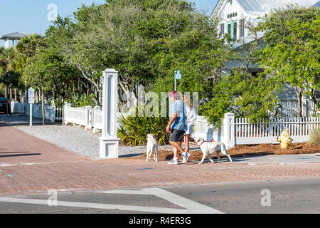 Seaside, USA - 25. April 2018: Holzhäuser Gemeinschaft von Strand Meer, Menschen zu Fuß an der Leine Hunde auf Lauge auf Ferien in Florida Ansicht während der sonnigen d Stockfoto