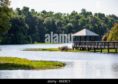 Landschaft der Holzsteg Pavillon Aussichtsplattform im Sumpf Sumpf in Paynes Prairie Preserve State Park in Gainesville, Florida Stockfoto