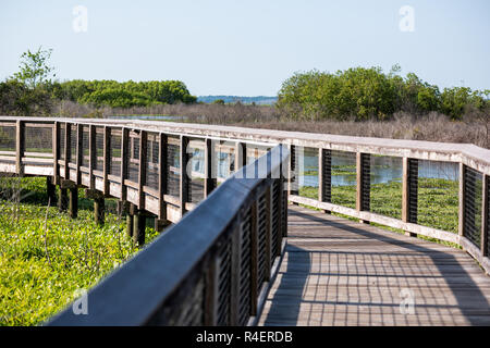 Niemand auf der Holzsteg Brücke im Sumpf Sumpf in Paynes Prairie Preserve State Park in Gainesville, Florida Stockfoto