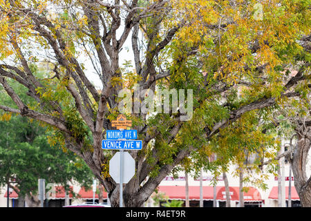 Venedig, USA - 29. April 2018: Kreuzung Anmelden kleine Florida Ruhestand Stadt, Gemeinde oder Dorf in den Golf von Mexiko, großen Baum auf der Straße Stockfoto