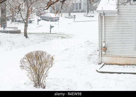 Blick aus dem Fenster auf das Wetter Schnee, Schneesturm, Unwetter, Eiche Baum im Schnee in Hinterhof abgedeckt, Vorplatz mit Häusern, Straßen, Wohn- neig Stockfoto