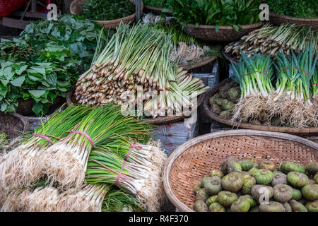 Sortierte Frühjahr Zwiebeln und Schalotten auf der Dong Ba Markt in Hue, Vietnam Stockfoto