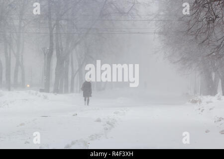 Eine Frau ist zu Fuß in einem Park im Winter Blizzard Stockfoto