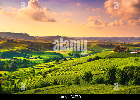 Die Weinberge der Langhe Sonnenuntergang Panorama, in der Nähe von Barolo, UNESCO-Welterbe, Piemont, Norditalien Europa. Stockfoto