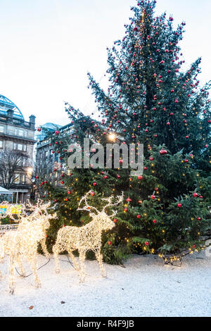 Glasgow's Main Weihnachtsbaum mit Rentier auf dem George Square im Zentrum der Stadt, Schottland, Großbritannien. Stockfoto