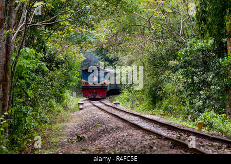 Ein Zug fährt durch den Wald bei Srimangal. Moulvibazar, Bangladesch. Stockfoto