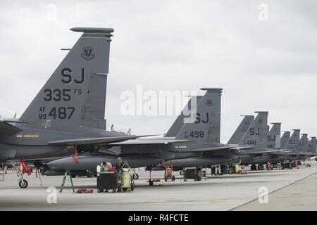 EIELSON AIR FORCE BASE, Alaska - US Air Force F-15E Strike Eagle dual-rolle Kampfflugzeuge an die 335 Fighter Squadron, Seymour Johnson Air Force Base, N.C. zugewiesen sind, auf der Eielson Air Force Base, Alaska Flug Linie Mai 3, 2017 gesäumt, während der nördliche Rand 2017 (NE 17). NE 17 ist Alaska's Premier gemeinsame Ausbildung Übung darauf ausgerichtet, den Betrieb, Techniken und Verfahren sowie zur Praxis wie Interoperabilität zwischen den Diensten zu verbessern. Tausende von Teilnehmern aus allen Diensten, Flieger, Soldaten, Seemänner, Marinesoldaten und Küstenwache aus dem aktiven Dienst, Reserve und der National Guard Einheiten Stockfoto